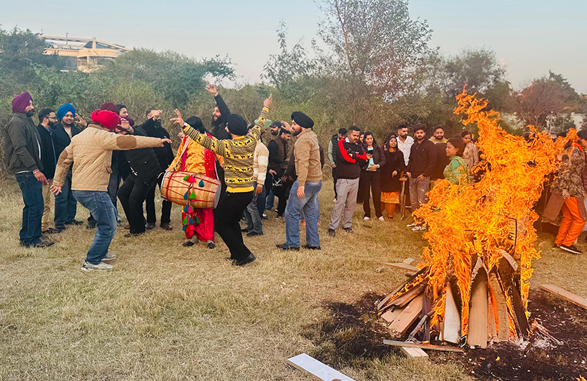 lohri celebration