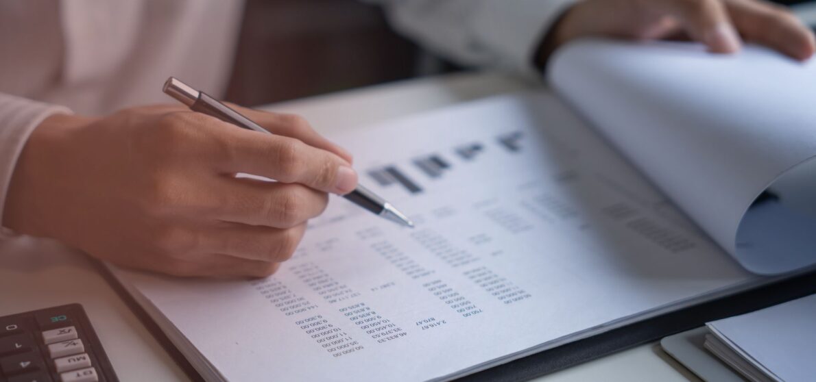 Audit support services