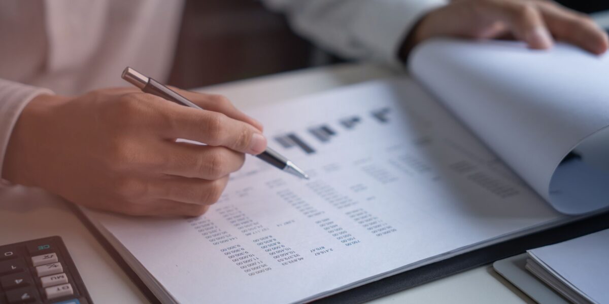 Audit support services