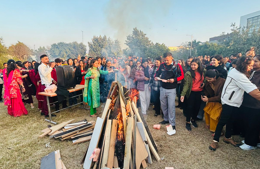 lohri celebration