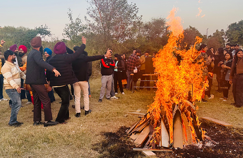 lohri celebration