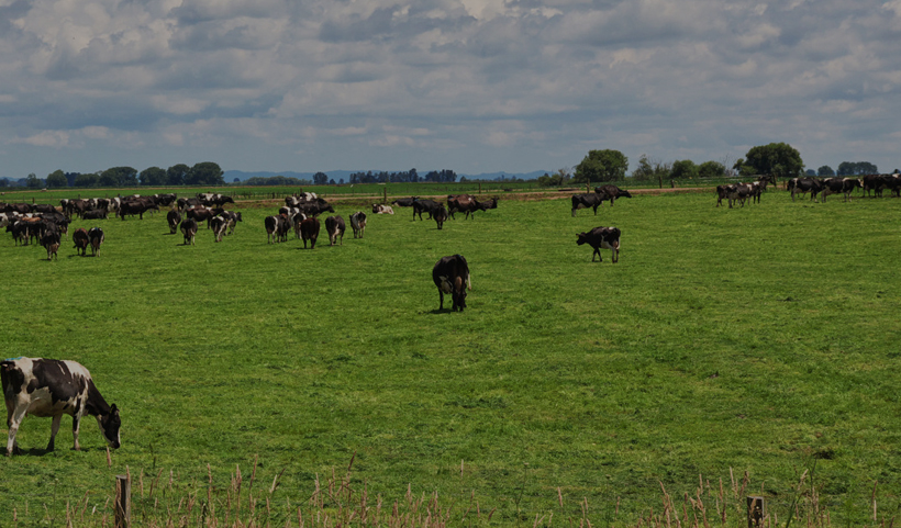 farm accounting banner