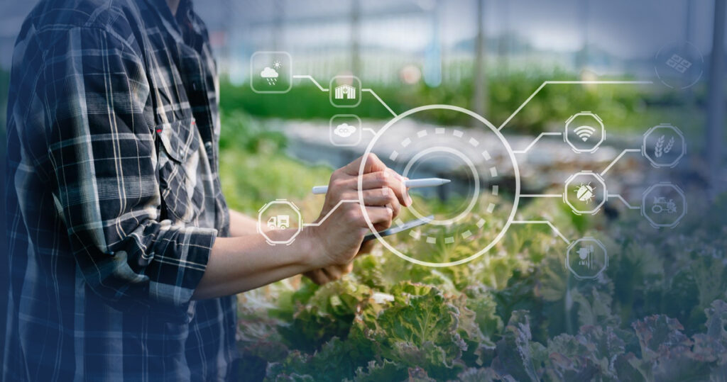 Farm Accounting for Beginners: Basics Every New Farmer Should Know