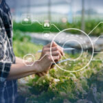 Farm Accounting for Beginners