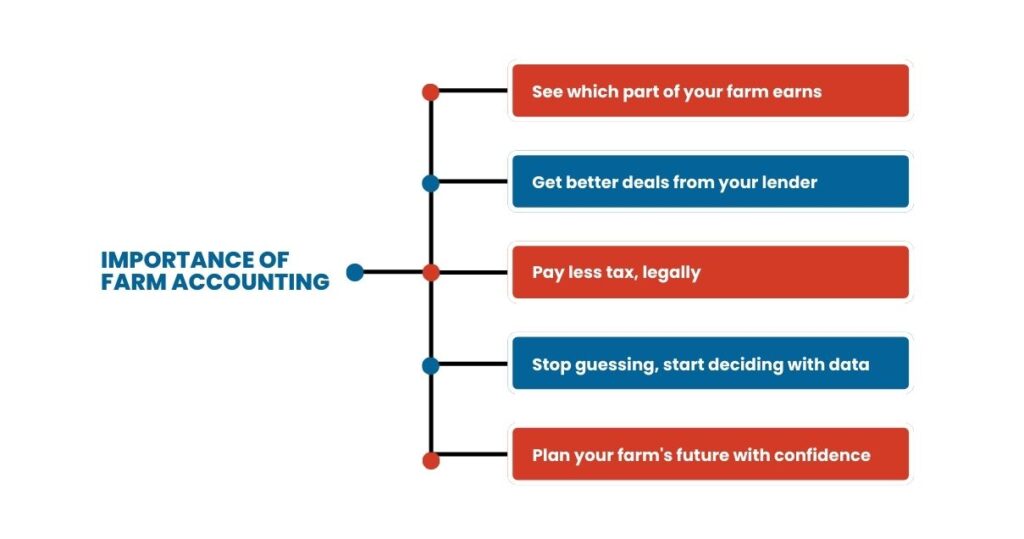 Farm Accounting Guide: Tips for Better Financial Management