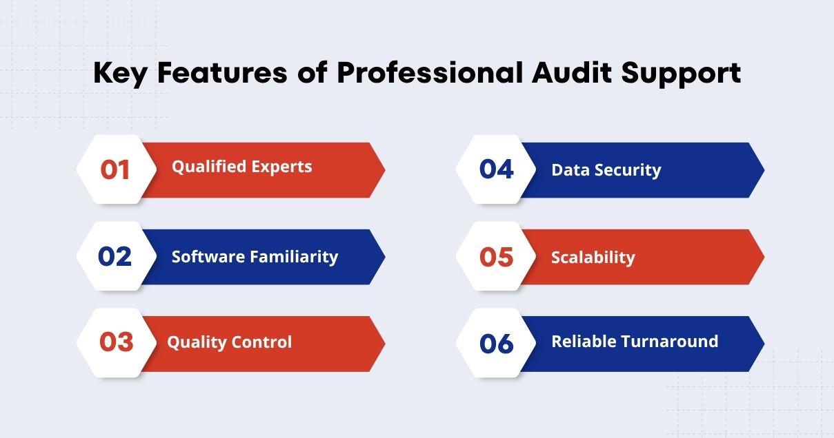 key features of Professional Audit Support Services