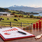 Farm Investment NZ